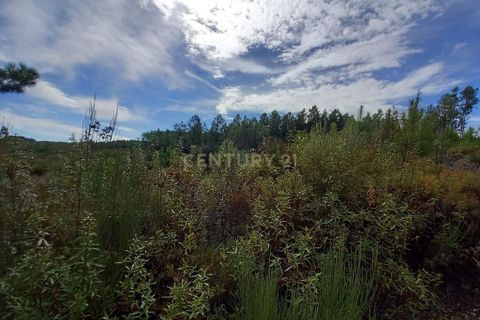 Terra a Ninho do Acor, Castelo Branco, Ninho do Acor - € 9.500 | Ref: C0434-00532 - foto 8