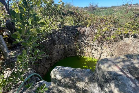 Helårsgrund i Escalos de Cima e Lousa, Castelo Branco, Escalos de Cima e Lousa - € 41.500 | Ref: C0434-00554 - foto 1