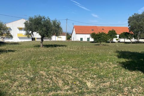 Helårsgrund i Castelo Branco, Castelo Branco, Castelo Branco - € 55.000 | Ref: C0434-00560 - foto 1