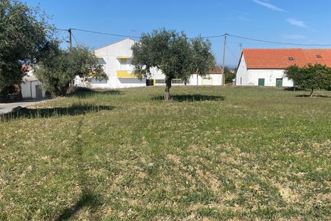 Helårsgrund i Castelo Branco, Castelo Branco, Castelo Branco - € 55.000 | Ref: C0434-00560 - foto 3