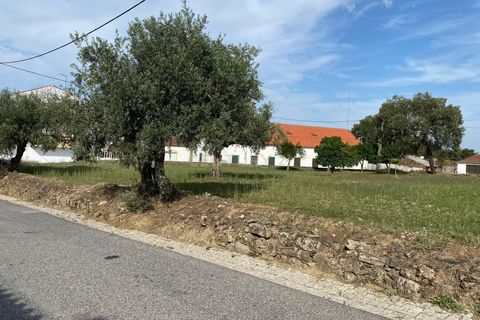 Helårsgrund i Castelo Branco, Castelo Branco, Castelo Branco - € 55.000 | Ref: C0434-00560 - foto 6