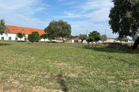 Helårsgrund i Castelo Branco, Castelo Branco, Castelo Branco - € 55.000 | Ref: C0434-00560 - foto 7