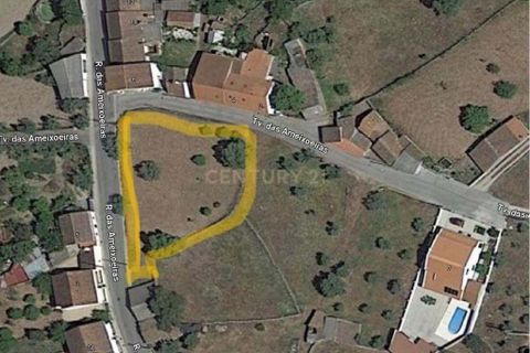 Helårsgrund i Castelo Branco, Castelo Branco, Castelo Branco - € 55.000 | Ref: C0434-00560 - foto 12