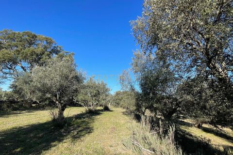 Helårsgrund i Escalos de Cima e Lousa, Castelo Branco, Escalos de Cima e Lousa - € 7.000 | Ref: C0434-00656 - foto 1