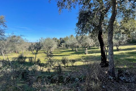 Helårsgrund i Escalos de Cima e Lousa, Castelo Branco, Escalos de Cima e Lousa - € 7.000 | Ref: C0434-00656 - foto 3