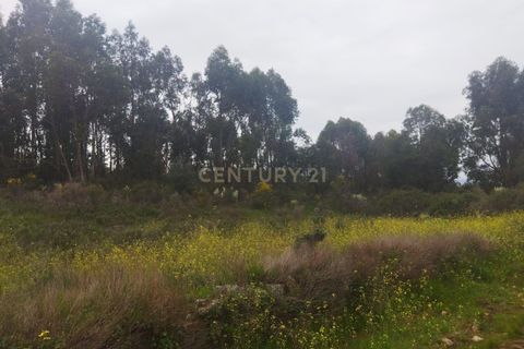 Tomt i Escalos de Cima e Lousa, Castelo Branco, Escalos de Cima e Lousa - € 42 000 | Ref: C0434-00699 - foto 2