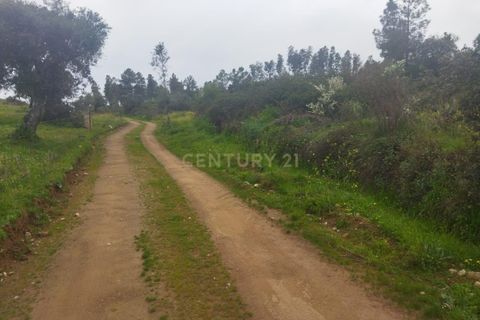 Tomt i Escalos de Cima e Lousa, Castelo Branco, Escalos de Cima e Lousa - € 42 000 | Ref: C0434-00699 - foto 3