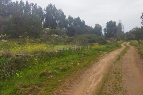 Tomt i Escalos de Cima e Lousa, Castelo Branco, Escalos de Cima e Lousa - € 42 000 | Ref: C0434-00699 - foto 4