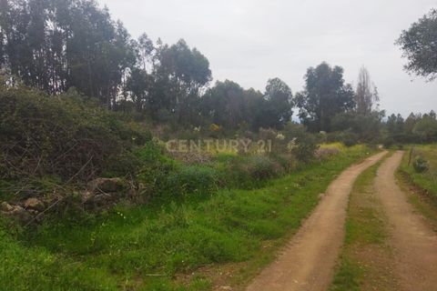 Tomt i Escalos de Cima e Lousa, Castelo Branco, Escalos de Cima e Lousa - € 42 000 | Ref: C0434-00699 - foto 5