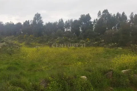 Tomt i Escalos de Cima e Lousa, Castelo Branco, Escalos de Cima e Lousa - € 42 000 | Ref: C0434-00699 - foto 7