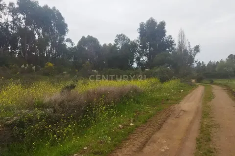 Tomt i Escalos de Cima e Lousa, Castelo Branco, Escalos de Cima e Lousa - € 42 000 | Ref: C0434-00699 - foto 8