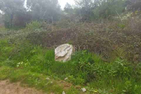 Tomt i Escalos de Cima e Lousa, Castelo Branco, Escalos de Cima e Lousa - € 42 000 | Ref: C0434-00699 - foto 10