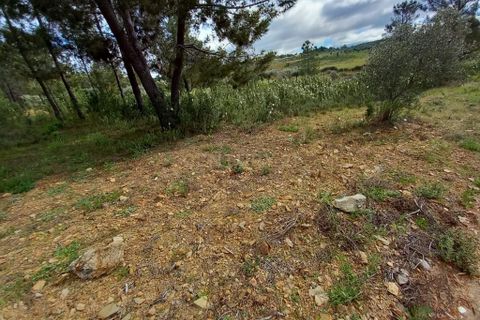Terra a Ninho do Acor, Castelo Branco, Ninho do Acor - € 27.500 | Ref: C0434-00709 - foto 4