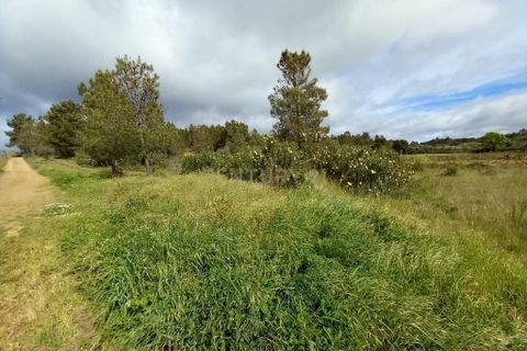 Terra a Ninho do Acor, Castelo Branco, Ninho do Acor - € 27.500 | Ref: C0434-00709 - foto 14