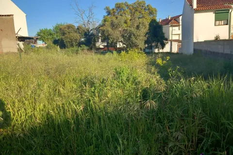 Helårsgrund i Castelo Branco, Castelo Branco, Castelo Branco - € 57.500 | Ref: C0434-00725 - foto 1