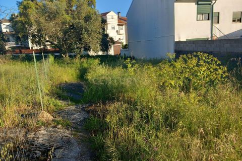 Helårsgrund i Castelo Branco, Castelo Branco, Castelo Branco - € 57.500 | Ref: C0434-00725 - foto 4