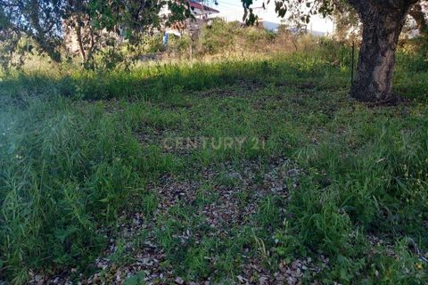 Helårsgrund i Castelo Branco, Castelo Branco, Castelo Branco - € 57.500 | Ref: C0434-00725 - foto 8