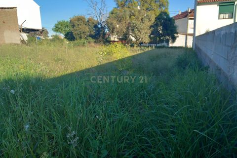 Helårsgrund i Castelo Branco, Castelo Branco, Castelo Branco - € 57.500 | Ref: C0434-00725 - foto 3