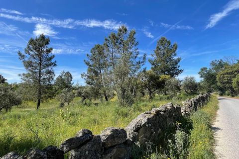 Tomt i Escalos de Cima e Lousa, Castelo Branco, Escalos de Cima e Lousa - € 41 000 | Ref: C0434-00767 - foto 2