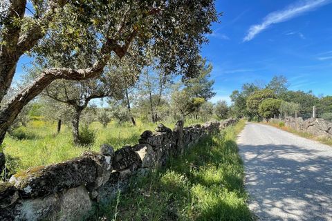 Tomt i Escalos de Cima e Lousa, Castelo Branco, Escalos de Cima e Lousa - € 41 000 | Ref: C0434-00767 - foto 3
