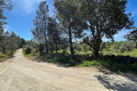 Tomt i Escalos de Cima e Lousa, Castelo Branco, Escalos de Cima e Lousa - € 41 000 | Ref: C0434-00767 - foto 4