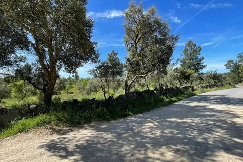 Tomt i Escalos de Cima e Lousa, Castelo Branco, Escalos de Cima e Lousa - € 41 000 | Ref: C0434-00767 - foto 6