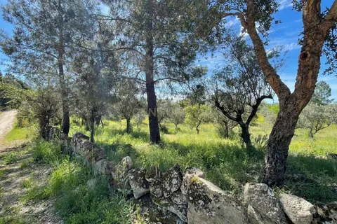 Tomt i Escalos de Cima e Lousa, Castelo Branco, Escalos de Cima e Lousa - € 41 000 | Ref: C0434-00767 - foto 8