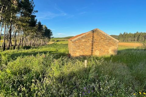 Helårsgrund i Fundao, Castelo Branco, Fundao - € 85.000 | Ref: C0434-00749 - foto 12