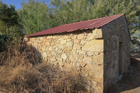 Tomt i Fundao, Castelo Branco, Fundao - € 19 900 | Ref: C0434-00847 - foto 3