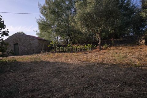 Tomt i Fundao, Castelo Branco, Fundao - € 19 900 | Ref: C0434-00847 - foto 4