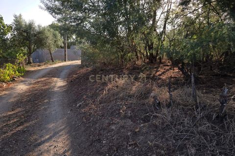 Tomt i Fundao, Castelo Branco, Fundao - € 19 900 | Ref: C0434-00847 - foto 5