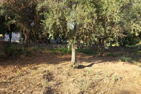 Tomt i Fundao, Castelo Branco, Fundao - € 19 900 | Ref: C0434-00847 - foto 6