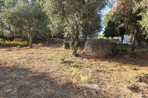 Tomt i Fundao, Castelo Branco, Fundao - € 19 900 | Ref: C0434-00847 - foto 7