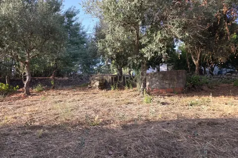 Tomt i Fundao, Castelo Branco, Fundao - € 19 900 | Ref: C0434-00847 - foto 8