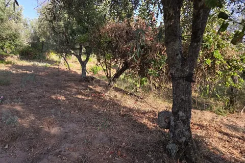 Tomt i Fundao, Castelo Branco, Fundao - € 19 900 | Ref: C0434-00847 - foto 9