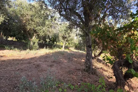 Tomt i Fundao, Castelo Branco, Fundao - € 19 900 | Ref: C0434-00847 - foto 10