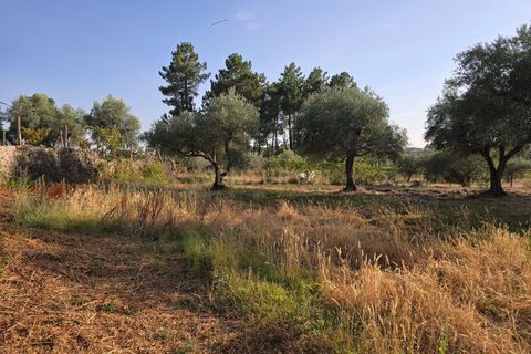 Tomt i Fundao, Castelo Branco, Fundao - € 19 900 | Ref: C0434-00847 - foto 11