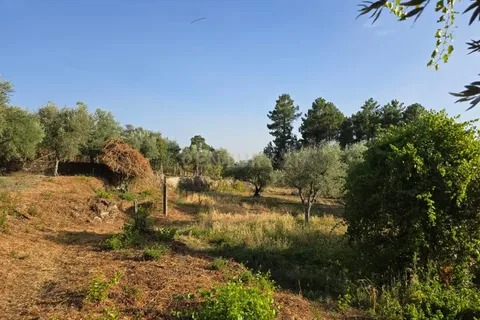 Tomt i Fundao, Castelo Branco, Fundao - € 19 900 | Ref: C0434-00847 - foto 13
