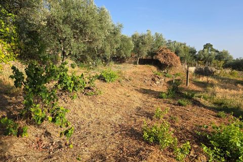 Tomt i Fundao, Castelo Branco, Fundao - € 19 900 | Ref: C0434-00847 - foto 14