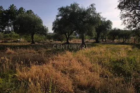 Tomt i Fundao, Castelo Branco, Fundao - € 19 900 | Ref: C0434-00847 - foto 15