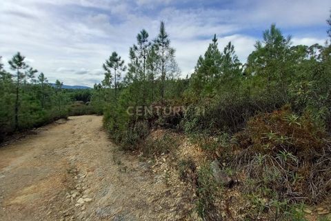 Helårsgrund i Castelo Branco, Castelo Branco, Castelo Branco - € 6.500 | Ref: C0434-00890 - foto 5
