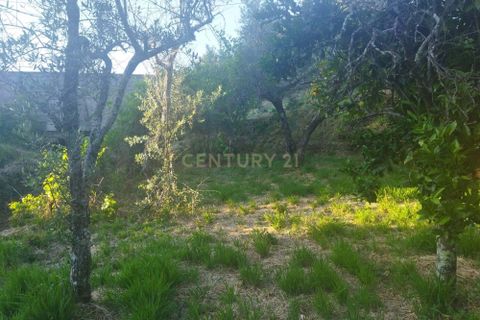 Helårsgrund i Castelo Branco, Castelo Branco, Castelo Branco - € 7.500 | Ref: C0434-00815 - foto 1