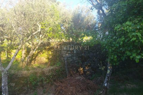 Helårsgrund i Castelo Branco, Castelo Branco, Castelo Branco - € 7.500 | Ref: C0434-00815 - foto 3
