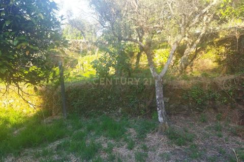 Helårsgrund i Castelo Branco, Castelo Branco, Castelo Branco - € 7.500 | Ref: C0434-00815 - foto 4