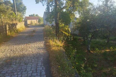 Helårsgrund i Castelo Branco, Castelo Branco, Castelo Branco - € 7.500 | Ref: C0434-00815 - foto 5