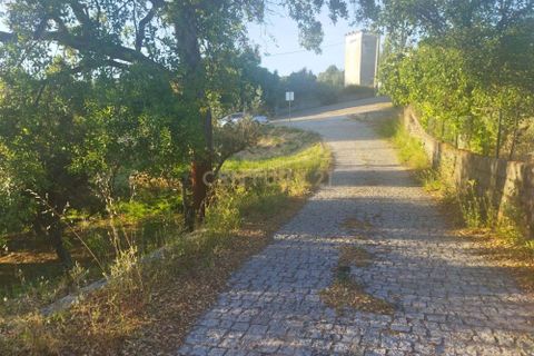 Helårsgrund i Castelo Branco, Castelo Branco, Castelo Branco - € 7.500 | Ref: C0434-00815 - foto 7