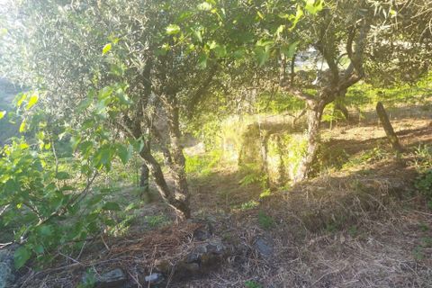 Helårsgrund i Castelo Branco, Castelo Branco, Castelo Branco - € 7.500 | Ref: C0434-00815 - foto 12