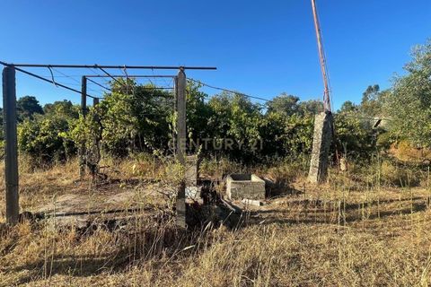Terra a A do Bispo, Castelo Branco, A do Bispo - € 9.900 | Ref: C0434-00826 - foto 4