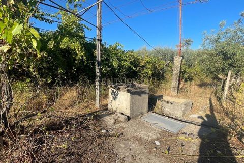 Terra a A do Bispo, Castelo Branco, A do Bispo - € 9.900 | Ref: C0434-00826 - foto 7