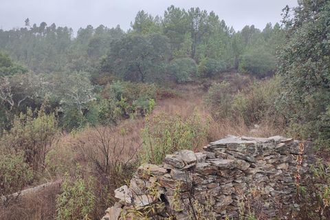 Helårsgrund i Castelo Branco, Castelo Branco, Castelo Branco - € 19.900 | Ref: C0434-00855 - foto 3
